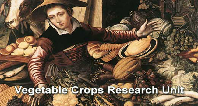 Painting by Pieter Aertsen, Market woman with vegetable stall