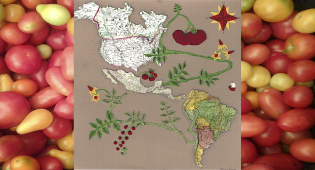 the path tomatos took