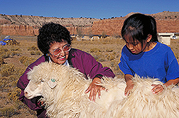 Navaho woman and young girl with a Navajo-Churro sheep. Link to photo information