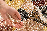 Beans